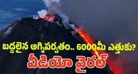 Beer Race Championship: బీరు తాగుతూ పరుగు పందెం.. ఏం ఫీల్ ఉంది మామా!