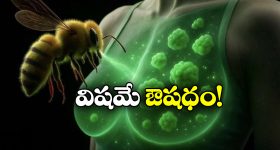 YS Jagan: వాళ్లు ఫోన్ చేస్తే మీరెందుకు మాట్లాడుతున్నారు.. పార్టీ నేతలపై జగన్ ఫైర్!