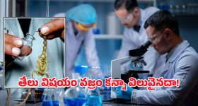 S.V.Krishna Reddy: వేదవ్యాస్ గా రాబోతున్న ఎస్వీ కృష్ణారెడ్డి.. హీరోయిన్ గా కొరియన్ నటి