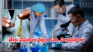Scorpion: తేలు విషం ఒక లీటరు రూ.80 కోట్లా? ఇంతకీ దానితో ఏం చేస్తారు?