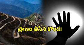 Passenger: రైల్లో సెల్ ఫోన్ దొంగతనం, రెండు కాళ్లు కోల్పోయిన ప్రయాణీకుడు!