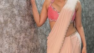 Shraddha Das: శ్రద్ధా దాస్ లేటెస్ట్ ఫోటోలు.. చీరలో వయ్యారాలు పోతున్న హాట్ బ్యూటీ