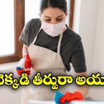 Maid Fined: పని మనిషికి రూ.8 లక్షల జరిమానా.. ఏంటీ, సెలవు రోజు పని చేసినా తప్పే?