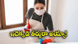 Maid Fined: పని మనిషికి రూ.8 లక్షల జరిమానా.. ఏంటీ, సెలవు రోజు పని చేసినా తప్పే?