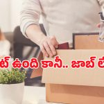 Software Engineer: 30 ఏళ్ల అనుభవం ఉన్నా… నాలుగుసార్లు ఉద్యోగం కోల్పోయిన టెక్ ఇంజినీర్