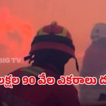 Spain Wildfires: స్పెయిన్‌లో కార్చిచ్చు.. 20 ప్రాంతాలకు విస్తరిస్తున్న మంటలు.. ఇదిగో వీడియో..