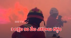 Spain Wildfires: స్పెయిన్‌లో కార్చిచ్చు.. 20 ప్రాంతాలకు విస్తరిస్తున్న మంటలు.. ఇదిగో వీడియో..