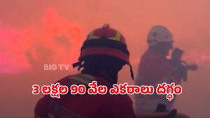 Spain Wildfires: స్పెయిన్‌లో కార్చిచ్చు.. 20 ప్రాంతాలకు విస్తరిస్తున్న మంటలు.. ఇదిగో వీడియో..