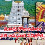 Sri Padmavathi Ammavari Temple: శ్రీ పద్మావతి అమ్మవారి పవిత్రోత్సవాలు.. రూ.750 చెల్లిస్తే ఆ సేవలు