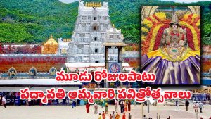 Sri Padmavathi Ammavari Temple: శ్రీ పద్మావతి అమ్మవారి పవిత్రోత్సవాలు.. రూ.750 చెల్లిస్తే ఆ సేవలు