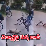 Street Dog Attack: OMG!.. సైకిల్ పై వెళ్తున్న విద్యార్థిపై వీధికుక్క దాడి.. వీడియో చూస్తే..