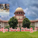 Supreme Court: లక్షల వీధి కుక్కలను షెల్టర్లకు తరలించండి.. సుప్రీం సంచలన ఆదేశాలు