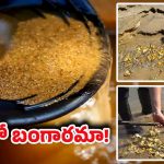 Gold River: ఇది నిజమేనా! మన దేశంలో బంగారంతో నిండిన నది ఉందని తెలుసా?