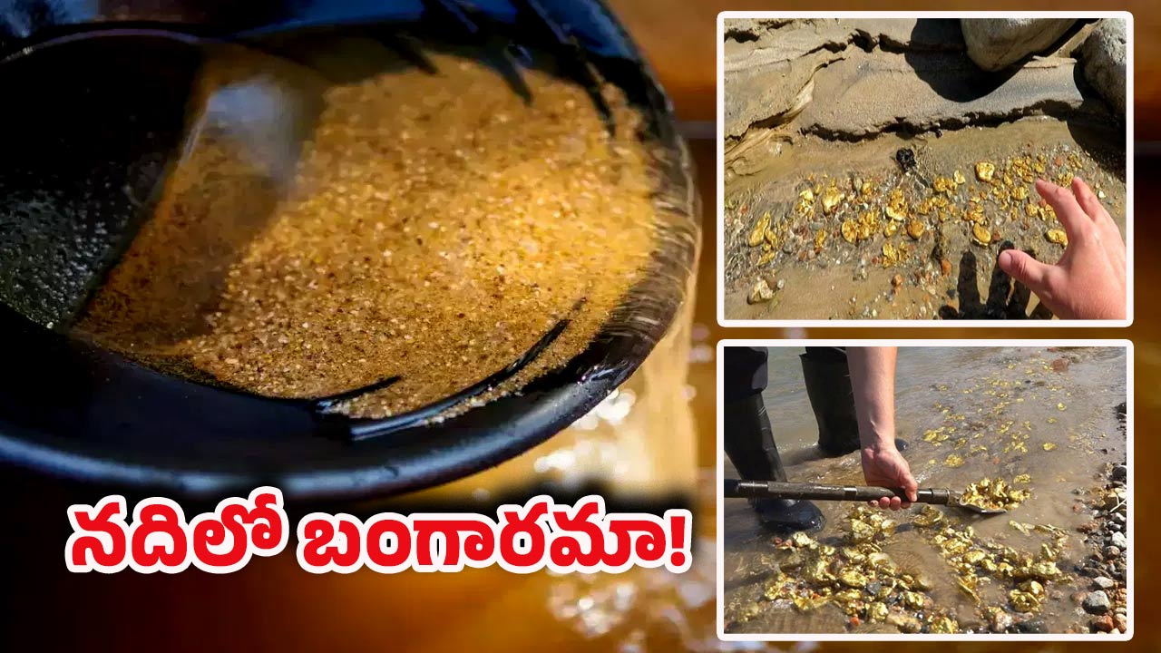 Gold River: ఇది నిజమేనా! మన దేశంలో బంగారంతో నిండిన నది ఉందని తెలుసా?