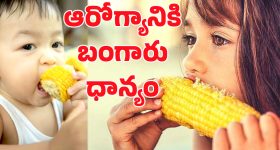 Sweet Corn Benifits: తక్కువ ఖర్చు ఎక్కువ ఆరోగ్యం.. ఇది తింటే ఎన్ని లాభాలో తెలుసా?