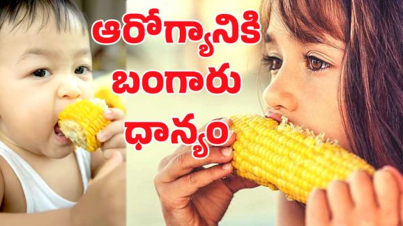 Sweet Corn Benifits: తక్కువ ఖర్చు ఎక్కువ ఆరోగ్యం.. ఇది తింటే ఎన్ని లాభాలో తెలుసా?