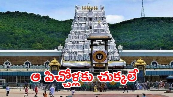 Tirumala News: మహిళా భక్తులకు టీటీడీ శుభవార్త.. వారిపై కేసు నమోదు చేస్తాం