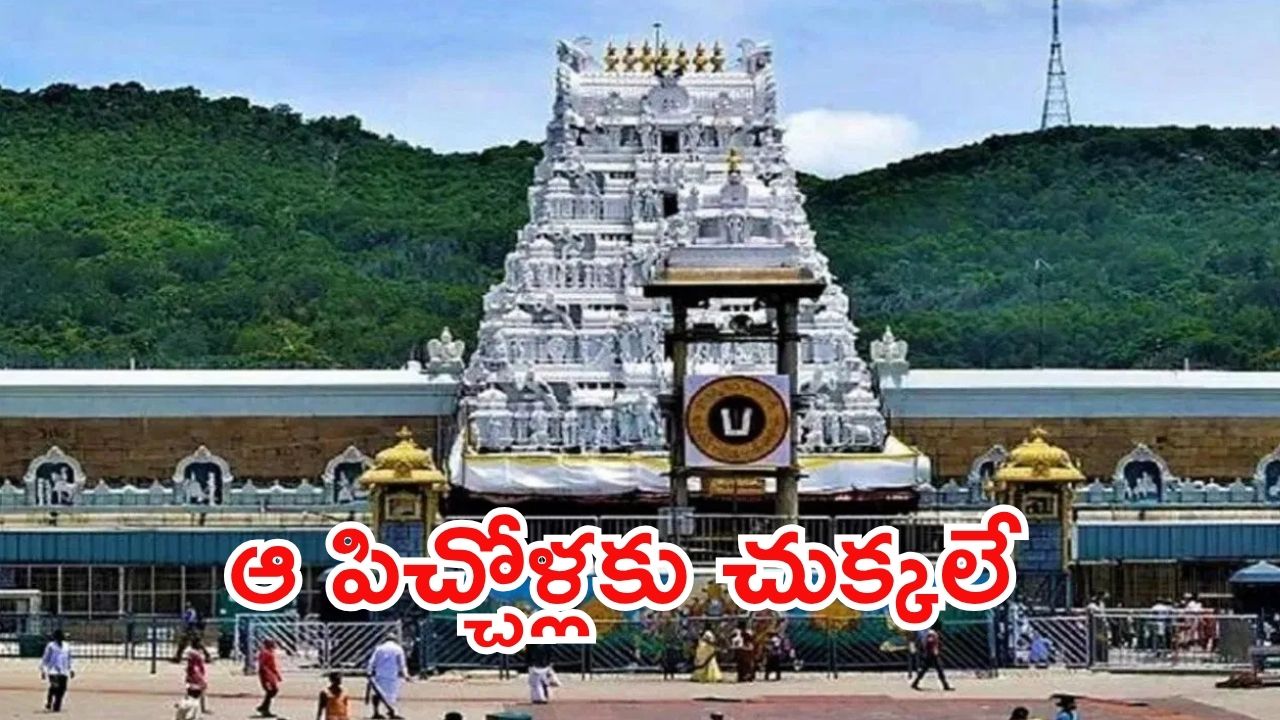 Tirumala News: మహిళా భక్తులకు టీటీడీ శుభవార్త.. వారిపై కేసు నమోదు చేస్తాం
