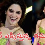 Tamannaah Bhatia: కావాలయ్యా అంటున్న తమన్నా, మేము వస్తాము అంటున్న నెటిజన్స్