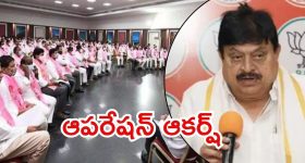 Viral Video: చావుకు షేక్ హ్యాండ్ ఇవ్వడం అంటే ఇదే, సింహం తినే మూడ్ లో లేకపోతే..