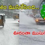 Telangana Rains: వర్షాల ఎఫెక్ట్.. ఈ ఐదు జిల్లాల్లో స్కూళ్లకు సెలవులు