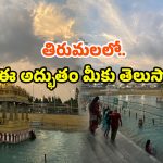 Tirumala Pushkarini: తిరుమల వెళుతున్నారా? ప్రస్తుతం ఇక్కడికి తప్పక వెళ్లండి!