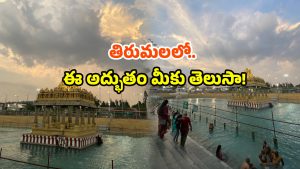 Tirumala Pushkarini: తిరుమల వెళుతున్నారా? ప్రస్తుతం ఇక్కడికి తప్పక వెళ్లండి!