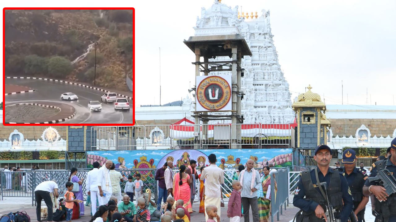 Tirumala ghat road: శ్రీవారి దర్శనంతో పాటు ప్రకృతి సోయగం.. వర్షాలతో శోభిల్లుతున్న తిరుమల!