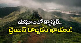 Samantha: సమంతనే నాగ చైతన్యను వదిలించుకుంది.. ఆమెదంతా దొంగ ఏడుపు.. సానుభూతి కోసమే..