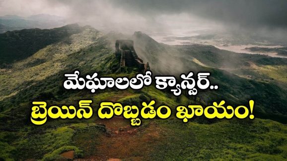 Hill Stations: హిల్ స్టేషన్స్ కు ఎగేసుకు వెళ్తున్నారా? అయితే, మీ పని అయిపోయినట్లే!