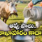 Milk – Non Vegetarian: పాలు మాంసాహారమా? అమెరికాలో అంతే.. ఎందుకంటే?