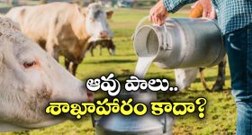 Ram Charan Peddi: వెనక్కు తగ్గిన రామ్ చరణ్, నానికి ఇదే ప్లస్ పాయింట్
