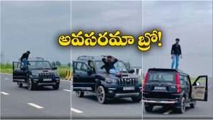 Viral Video: కదులుతున్న స్కార్పియోపై డేంజరస్ స్టంట్లు, పట్టుకొని లాకప్ లో పడేసిన పోలీసులు!