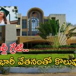 University of Hyderabad: గ్రేట్.. రూ.46లక్షల జీతంతో ఉద్యోగం.. ఇంకా 550 మందికి జాబ్స్..