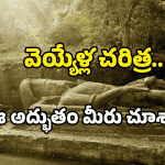 Old Vishnu idol: అడవిలో విశ్రాంతి తీసుకుంటున్న విష్ణుమూర్తి.. ఇదొక అద్భుతం.. మీరు చూసేయండి!