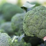 Broccoli Benefits: బ్రోకలీ తింటున్నారా ? అయితే ఈ విషయాలు తెలుసుకోండి