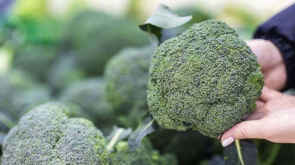 Broccoli Benefits: బ్రోకలీ తింటున్నారా ? అయితే ఈ విషయాలు తెలుసుకోండి