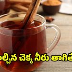 Cinnamon water: ఖాళీ కడుపుతో దాల్చిన చెక్క నీరు తాగితే.. మతిపోయే లాభాలు !