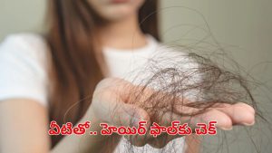 Hair Fall: జుట్టు రాలుతోందా? అయితే ఈ టిప్స్ మీ కోసమే !