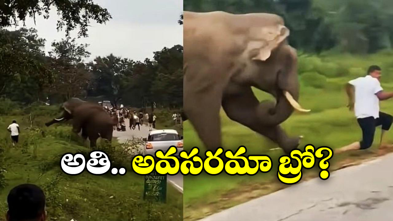 Viral Video: గజరాజుతో సెల్ఫీ.. కిందపడేసి మరీ తొక్కేసింది, ధైర్యం ఉంటేనే ఈ వీడియో చూడండి!