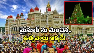Vijayawada Dasara 2025: దసరాకు ఎక్కడికి వెళ్లొద్దు.. ఇక్కడికి రండి.. అసలు స్పెషల్ ఏంటంటే?