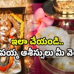 Vinayaka Chavithi 2025: గణపయ్యకు ఇష్టమైన ప్రసాదం ఇదే.. ఈ నియమాలు తప్పక పాటించండి!
