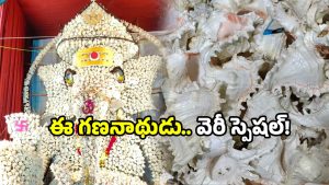 Vinayaka Chavithi 2025: వినాయక చవితి స్పెషల్.. శంఖుల గణనాథుడు భక్తులను.. తెగ ఆకట్టుకుంటున్నాడు!