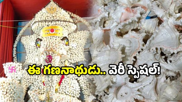 Vinayaka Chavithi 2025: వినాయక చవితి స్పెషల్.. శంఖుల గణనాథుడు భక్తులను.. తెగ ఆకట్టుకుంటున్నాడు!