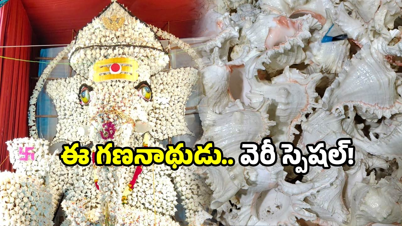 Vinayaka Chavithi 2025: వినాయక చవితి స్పెషల్.. శంఖుల గణనాథుడు భక్తులను.. తెగ ఆకట్టుకుంటున్నాడు!