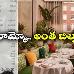 Viral News: ఒక్క రోజు రెస్టారెంట్ బిల్లు కోటి రూపాయలా? బంగారం ఏమైనా తిన్నార్రా బాబూ?