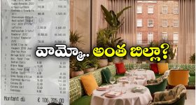 Viral News: ఒక్క రోజు రెస్టారెంట్ బిల్లు కోటి రూపాయలా? బంగారం ఏమైనా తిన్నార్రా బాబూ?
