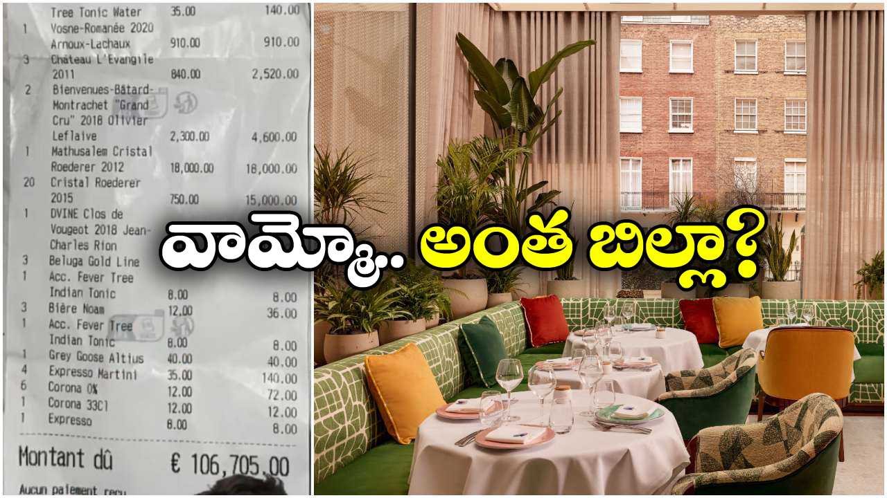 Viral News: ఒక్క రోజు రెస్టారెంట్ బిల్లు కోటి రూపాయలా? బంగారం ఏమైనా తిన్నార్రా బాబూ?