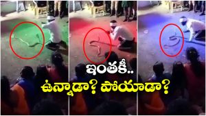 Viral Video: ఓరి నీ దుంపతెగా.. పాముకే నాగిని డ్యాన్స్ నేర్పిస్తున్నావు కదరా!