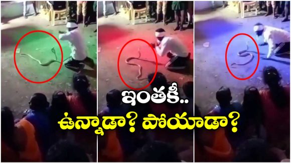 Viral Video: ఓరి నీ దుంపతెగా.. పాముకే నాగిని డ్యాన్స్ నేర్పిస్తున్నావు కదరా!